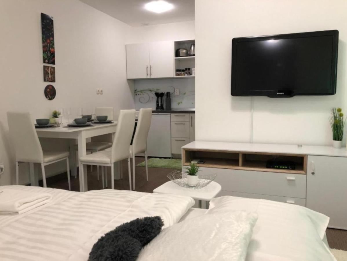 Modern Center Studio Under The Castle - Free Parking Apartment Ljubljana Ngoại thất bức ảnh